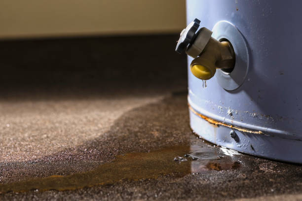 Best Mold removal after water damage  in Grand Junction, CO