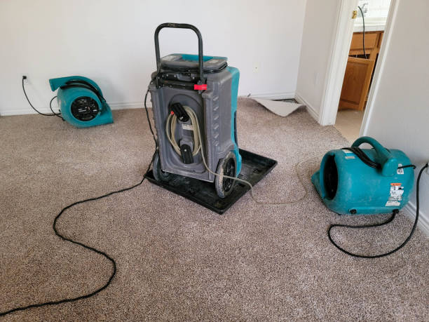 Best Sewage cleanup and water damage restoration  in Grand Junction, CO