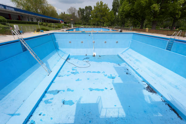 Best Basement water damage restoration  in Grand Junction, CO