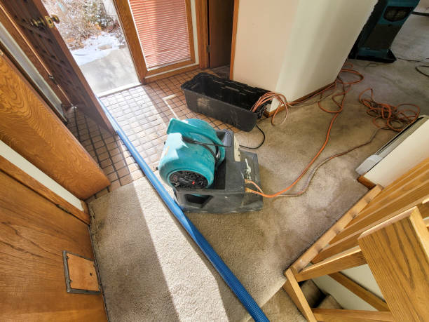 Best Water damage mitigation services  in Grand Junction, CO