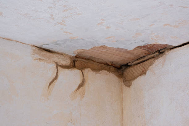 Best 24-hour water damage restoration  in Grand Junction, CO