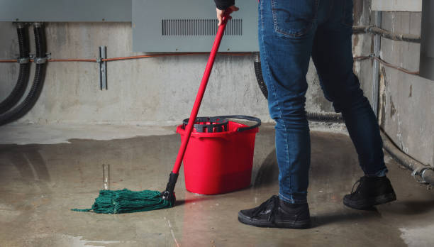 Reliable Grand Junction, CO Water damage restoration Solutions