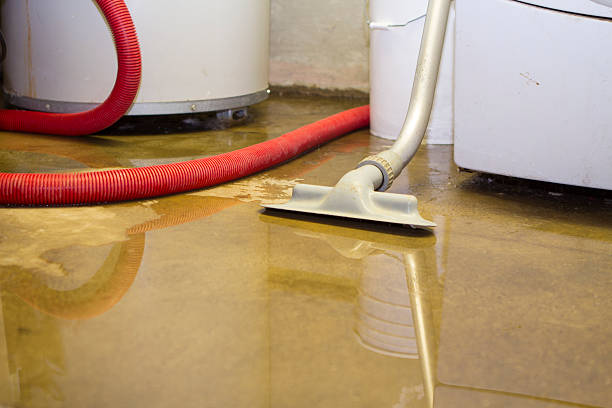 Best Water damage restoration near me  in Grand Junction, CO