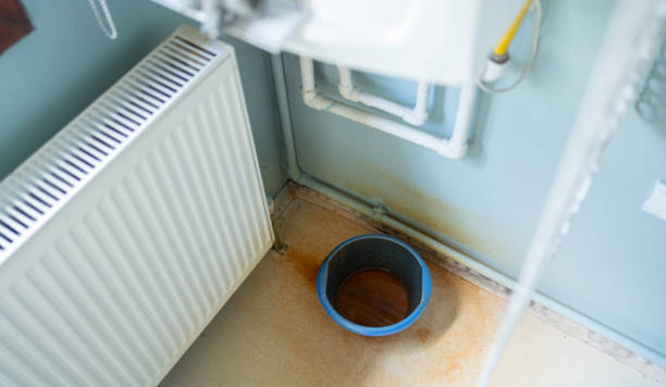 Best Flooded house restoration  in Grand Junction, CO