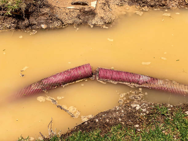 Water damage restoration experts in Grand Junction, CO