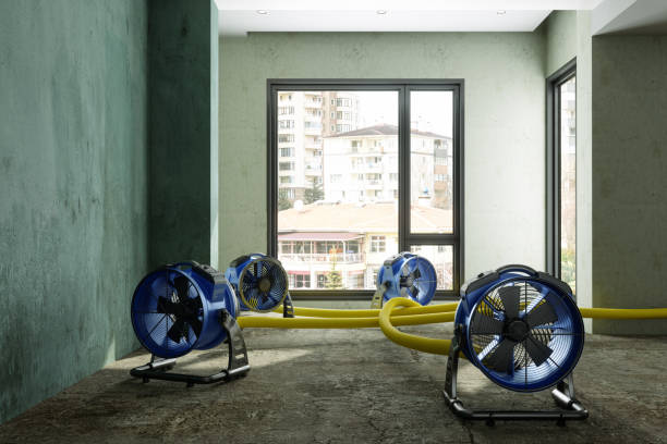 Best Flood restoration services  in Grand Junction, CO